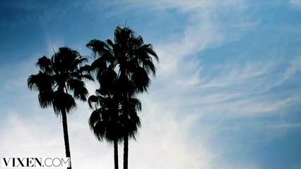 Кудрявая телочка активно скачет на большом члене своего клиента по бизнесу