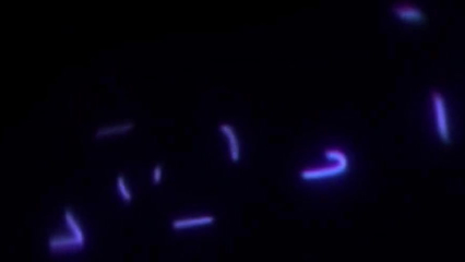 Сводная сестра не стала ломаться и уселась волосатой писей на член брата